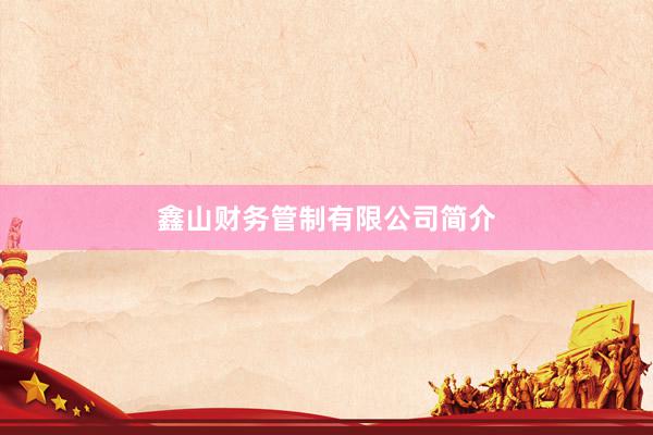 鑫山财务管制有限公司简介